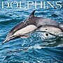 2027 Willow Creek Dolphins  12" x 12" Monthly Wall Calendar (60056)~#|#~9FAEB34D-E5EF-43AD-A56F0380CFA93B02_sc7