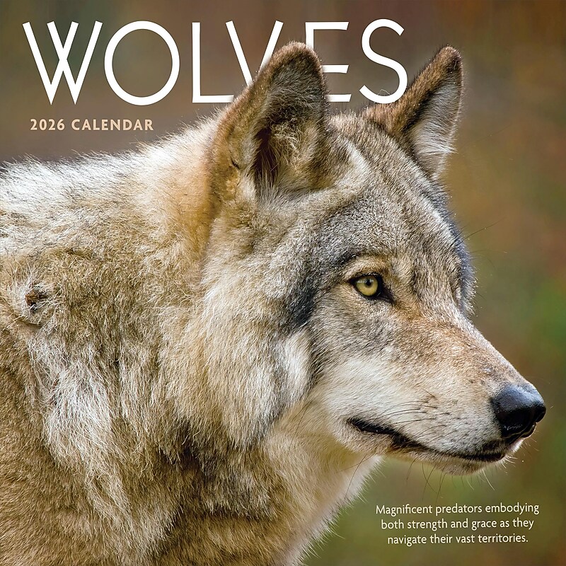 2026 TF Publishing Wolves 12" x 12" Monthly Wall Calendar, Multi (26-1035) image 1