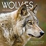 2026 TF Publishing Wolves 12" x 12" Monthly Wall Calendar, Multi (26-1035)~#|#~9FB2559C-C802-4361-909DFD6E5E13173B_sc7