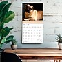 2026 BrownTrout Pugs 12" x 12" Monthly Wall Calendar (9798330705238)~#|#~9FB42BF0-8999-4C3F-B81527D18474B937_sc7