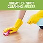 OdoBan Ready-to-Use Luxury Vinyl Floor Cleaner, 1 Gallon (9360B93-G)~#|#~9FC2B58D-A215-441D-86753B879031D527_sc7