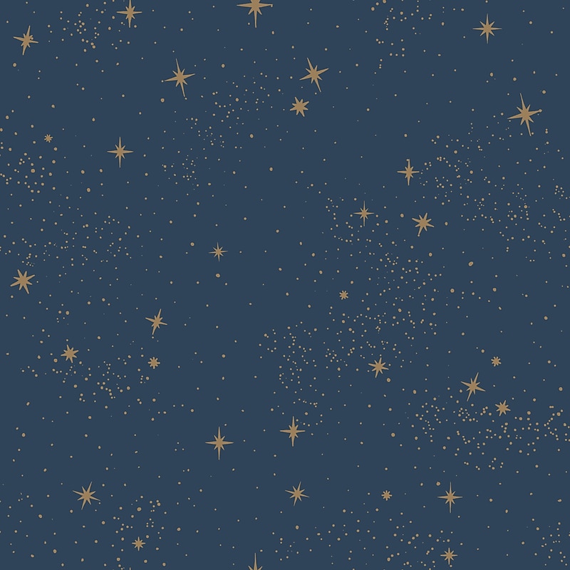 York Wallcoverings Upon A Star Peel and Stick Wallpaper (RMK11319WP) image 1
