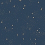 York Wallcoverings Upon A Star Peel and Stick Wallpaper (RMK11319WP)~#|#~9FC797A9-F67D-4123-914675126C66E4E6_sc7