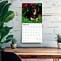 2026 BrownTrout Dachshunds 12" x 12" Monthly Wall Calendar (9798330703128)~#|#~9FDA50E7-5427-49CA-B71DAFCB368F0312_sc7