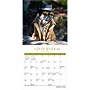 2027 BrownTrout Fantasy Pugs 7" x 7" Monthly Wall Calendar, Assorted Colors (9798330713219)~#|#~9FDF3989-956B-462B-956431A1D15970D2_sc7