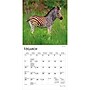 2027 BrownTrout Baby Animals 7" x 7" Monthly Wall Calendar, Assorted Colors (9798330709755)~#|#~9FF473D1-9572-4C4C-9D659537DC7CA5CA_sc7