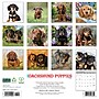 2026 Willow Creek Dachshund Puppies 12" x 12" Monthly Wall Calendar (50927)~#|#~9FF5149D-BD40-46E1-ABA06D295DBD5550_sc7