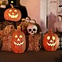Haunted Hill Farm 3-Piece Spooky Lighted LED Jack O Lantern Set, Battery Operated, Rustic Orange (HHRSSET3PMP-ORG)~#|#~A01A7608-4982-49D1-9B7EE163A3613EDD_sc7