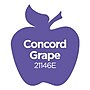 Apple Barrel Acrylic Paint Matte, 16oz., Concord Grape, 3/Pack(APP21146E-3)~#|#~A03074B7-6165-4793-B7CE610EEA229382_sc7