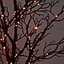 Nearly Natural Pre-Lit Halloween Minimalist Twig Artificial Fall Tree, 7' (T5162)~#|#~A04DB062-E75F-43AA-AC187F2FD092A896_sc7