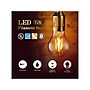 Viribright 8.5-Watts Soft White LED Rustic Antique Filament Bulb, 6/Box (450129-ES)~#|#~A0717707-E91B-4E9B-A2D084E037137C51_sc7