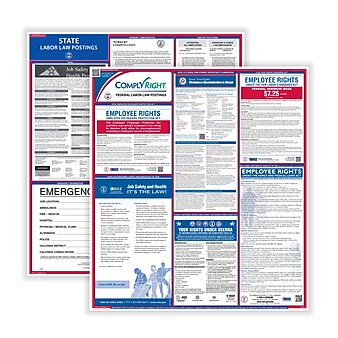 ComplyRight Federal and State Labor Law Poster Set (English), California (E50CA)
