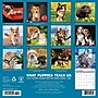 2026 Willow Creek What Puppies Teach Us 12" x 12" Monthly Wall Calendar (53225)~#|#~A085358D-5B3D-4B0E-808A0213BD3AF7A8_sc7