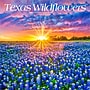 2026 BrownTrout Texas Wildflowers 12" x 12" Monthly Wall Calendar (9798330705832)~#|#~A09037B6-35D3-4B37-9044269E7B1F23D3_sc7