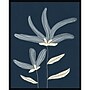 Amanti Art Two Flowers by Alisa Galitsyna Wood Framed Wall Art Print, 33"W x 41"H (A42678810620)~#|#~A0A1768E-7962-4F50-B4B961AB5A7C7D70_sc7
