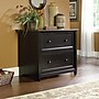 Sauder Edge Water 2-Drawer Lateral File Cabinet, Letter/Legal Size, Estate Black (409044)~#|#~A0B96C1B-B75A-4657-AE37B56B0FFB13EF_sc7
