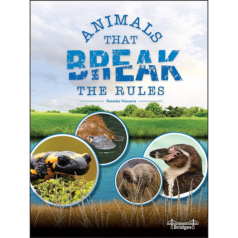 Animals That Break the Rules Picute Books, Paperback image 1