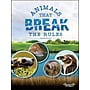 Animals That Break the Rules Picute Books, Paperback~#|#~A0BB5C34-DF76-4CBE-BE40AD24DDF96CCF_sc7