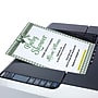 Great Papers Sage Green Bow Everyday Letterhead, Multicolored, 50 Sheets/Pack (2025008)~#|#~A0BC3A0C-62D7-4FD6-BA9833B938945725_sc7
