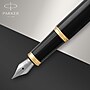 Parker IM Fountain Pen, Blue Ink (1931645)~#|#~A0D4FF5B-F015-47A4-89CF9AB2C4D952AA_sc7
