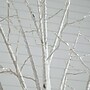 Nearly Natural 8' Pre-Lit Artificial White Birch Tree with 500 Warm White LED Lights (T4912)~#|#~A0D6A8ED-ABA6-440C-BB0E3EE79E8F0EBC_sc7