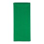 JAM Paper 20" x 26" Tissue Paper, Green, 10 Sheets/Pack (1152352)~#|#~A0DB9D94-359B-47F0-88440BA69BC24E94_sc7