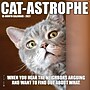 2027 Willow Creek Cat-astrophe 7" x 7" Monthly Wall Calendar (63941)~#|#~A0FE7D8F-B062-407B-993E3AB061784B69_sc7