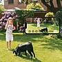 Eufy SoloCam S220 Outdoor Wireless Solar Security Camera, White (T8134121)~#|#~A10C3EA7-C384-423D-8B6046A76475A543_sc7