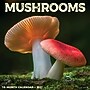 2027 Willow Creek Mushrooms 12" x 12" Monthly Wall Calendar, Assorted Colors (61374)~#|#~A11B140A-3993-4E7F-844E57DA9F2BA5B0_sc7