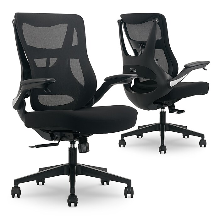 Staples ergo chair discount