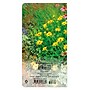 2026-2027 BrownTrout In the Garden 3.5" x 6.5" Monthly Planner (9798330703869)~#|#~A1448D17-D0A2-400D-AFEFA29E5A19EEDD_sc7