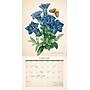 2026 Willow Creek Vintage Florals 12" x 12" Monthly Wall Calendar (56240)~#|#~A1540AD2-E3C6-4D8A-BC37D566C84EA235_sc7