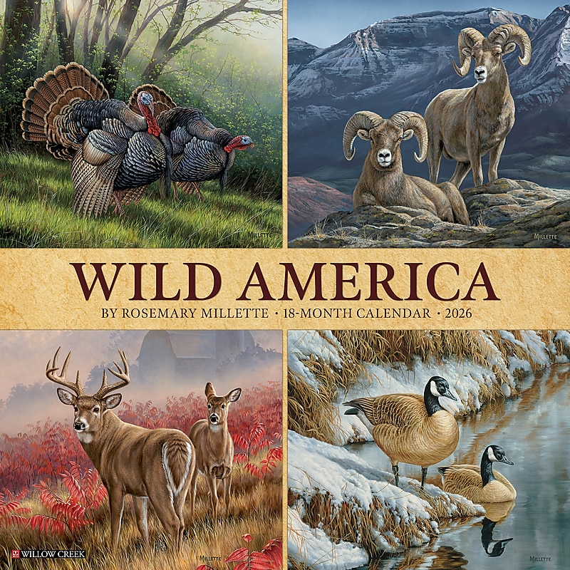 2026 Willow Creek Wild America 12" x 12" Monthly Wall Calendar (53270) image 1