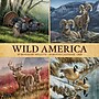 2026 Willow Creek Wild America 12" x 12" Monthly Wall Calendar (53270)~#|#~A15AEBA8-7086-449D-893A14A7889DBE05_sc7