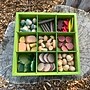 The Freckled Frog Nature's Sorting Box, Assorted Colors (CTUFF497)~#|#~A15BA4CF-3722-4FB3-9B4FCE08EFC87C43_sc7