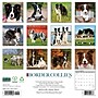 2027 Willow Creek Border Collies 12" x 12" Monthly Wall Calendar, Assorted Colors (59289)~#|#~A160D113-6D8C-4505-916E5E275305CB34_sc7