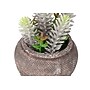 Monarch Specialties Inc. 8" Artificial Succulent Plant in Pot, 2/Set (I 9364)~#|#~A176D3E5-2822-4643-9B7BBC020F34D444_sc7
