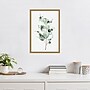 Amanti Art Tender Sprout I (Eucalyptus) by Eva Watts Framed Canvas Wall Art Print, 16" x 23" (A42675040760)~#|#~A17BE351-6135-4AC8-A81A6377D8603648_sc7