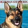 2027 Willow Creek German Shepherds 12" x 12" Monthly Wall Calendar, Assorted Colors (60377)~#|#~A18958B6-F3EE-4048-B2065CD0C19DD860_sc7