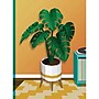 Workman Paint by Sticker Plants & Flowers Activity Book (PS1468)~#|#~A18F1AC6-7718-47A0-A2832810603C467B_sc7