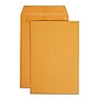 Staples 6 x 9 Self‑Sealing Catalog Envelopes, Brown Kraft, Strong Peel & Seal Closure, Heavyweight Mailing Envelopes, 100/Box~#|#~A19372A4-E07D-4EA9-A99C24A218C8624C_sc7