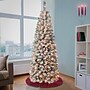 National Tree Company Acacia Artificial Christmas Trees (AC100-304-60F)~#|#~A19990DB-F2C1-4AB5-836E7BEC8C71637D_sc7