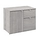 Bush Business Furniture Stratus 24"H Storage Cabinet with 2 Shelves, 2 Drawers, Platinum Gray (SUS130PG)~#|#~A1A74DD5-EAF3-4936-B81DD5AA66E30176_sc7