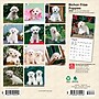 2026 BrownTrout Bichon Frise Puppies 7" x 7" Monthly Wall Calendar (9798330702428)~#|#~A1A9D21F-FE53-4791-BD8AFB890264BB2E_sc7