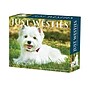2026 Willow Creek Westies 6.2" x 5.4" Day-to-Day Calendar (54499)~#|#~A1B0EE35-692A-4BE8-BF06F2BD30026701_sc7