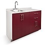 Viva Comfort 36.32'' H x 48" L Medical Cabinet with Left Sink, 4-Doors, 2-Drawers, Claret (902BASE48LSCL)~#|#~A1BA10D0-F336-4AF3-8234DCF65E334D61_sc7