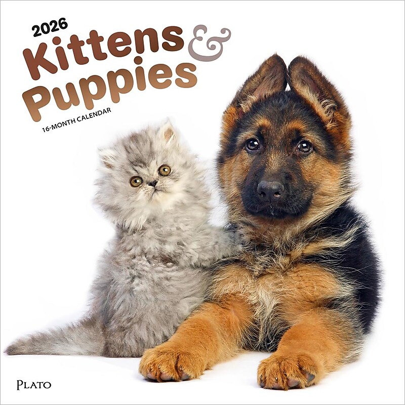 2026 Plato Kittens & Puppies 12" x 12" Monthly Wall Calendar (9798330706815) image 1