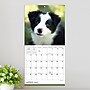 2027 TF Publishing Puppies 7" x 7" Monthly Wall Calendar, Multicolored (27-2007)~#|#~A1FE6CA0-7293-47B2-9E1561345A17407F_sc7