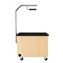 Diversified Woodcrafts Hydroponics Growing Center Table, Maple/Silver (HGCMS)~#|#~A200A7D5-B6FA-4FFE-97301CDE3F8B321F_sc7