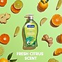 Softsoap Antibacterial Liquid Hand Soap, Fresh Citrus Scent, 6/Carton (US03563ACT)~#|#~A20CAE59-DAB8-4692-99E6C163D26AFABA_sc7
